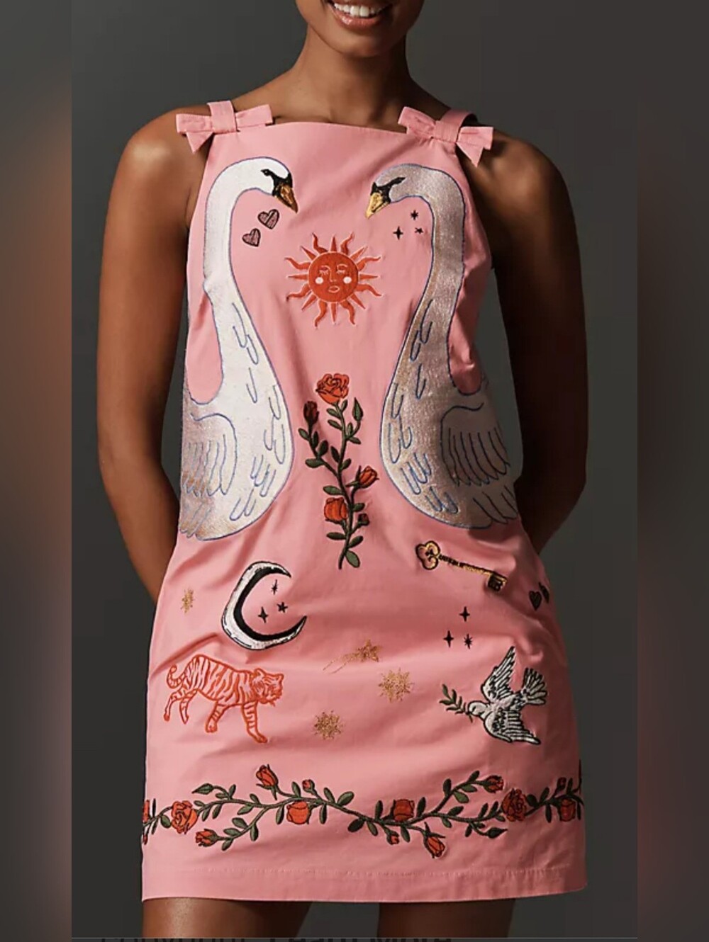 Anthropologie Embroidered Mini Dress